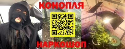 сатива Лесной