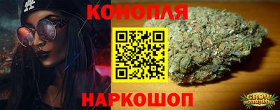 сатива Лесной