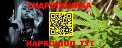 сатива Лесной